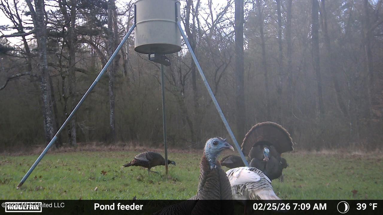 3194 James Road Hazlehurst, MS 39083 - Photo 95 of 114 3622