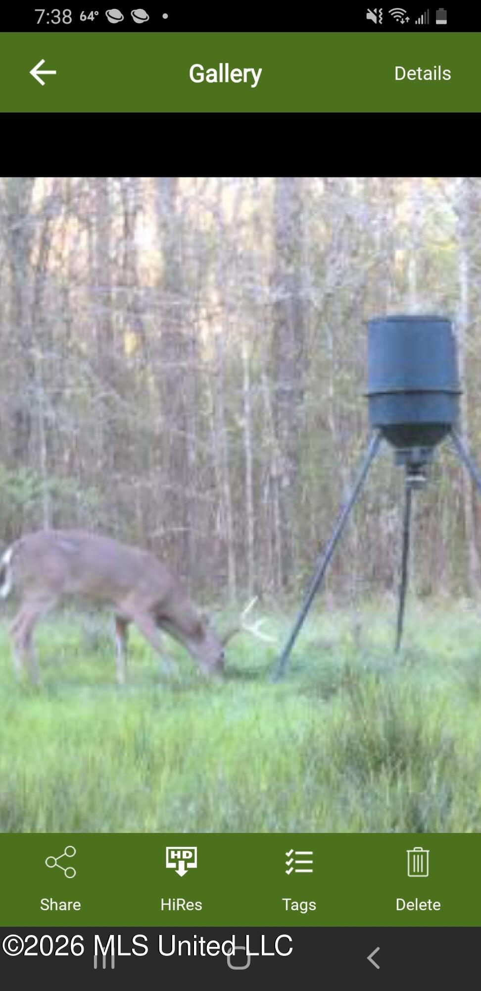 3194 James Road Hazlehurst, MS 39083 - Photo 97 of 114 2013