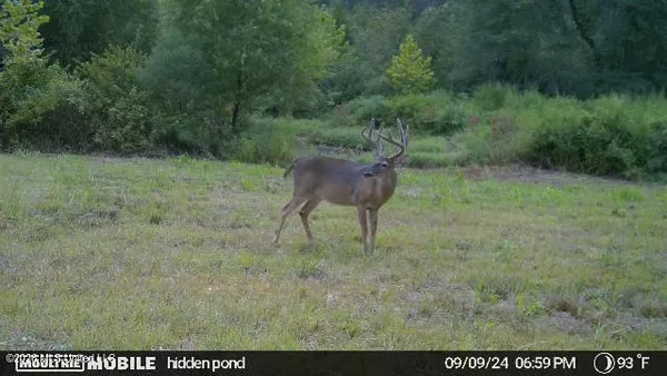 $1,848,000 | 3194 James Road, Hazlehurst, MS 39083