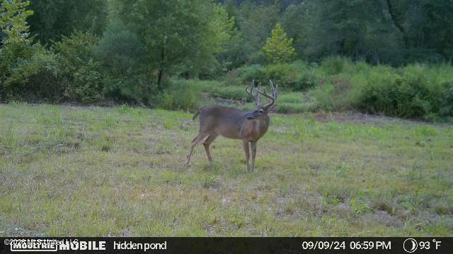 3194 James Road Hazlehurst, MS 39083 - Photo 98 of 114 2144