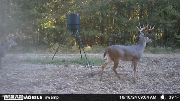 $1,848,000 | 3194 James Road, Hazlehurst, MS 39083