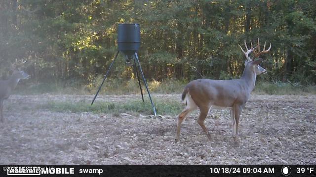 3194 James Road Hazlehurst, MS 39083 - Photo 99 of 114 2139