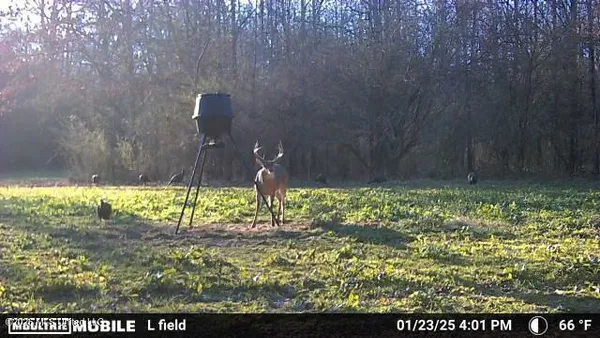 $1,848,000 | 3194 James Road, Hazlehurst, MS 39083