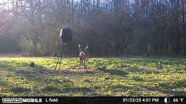 3194 James Road Hazlehurst, MS 39083 - Photo 100 of 114 2228