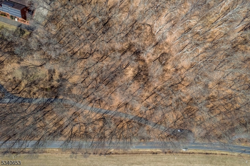 89 Millbrook Road Blairstown, NJ 07825 - Photo 3 of 3 a view of a yard with lots of bushes