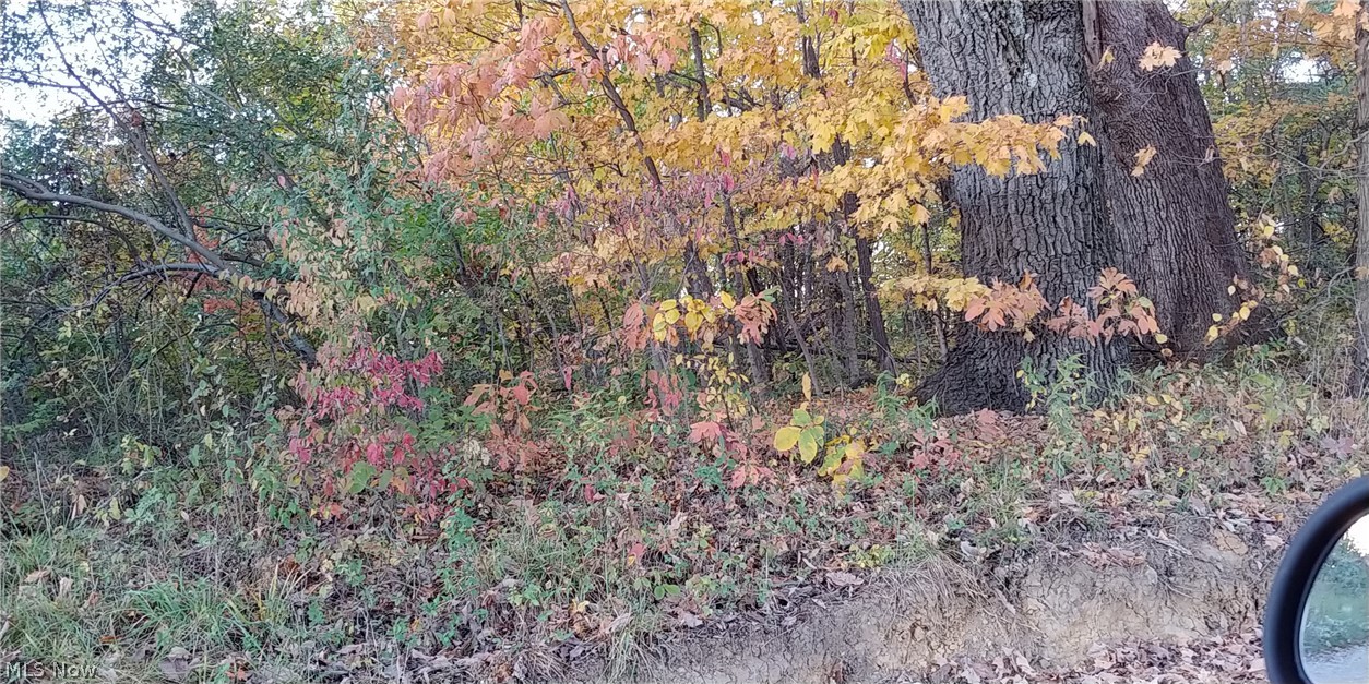 2450 Keffer Road Stockport, OH 43787 - Photo 21 of 35