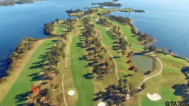 an aerial view of a yard