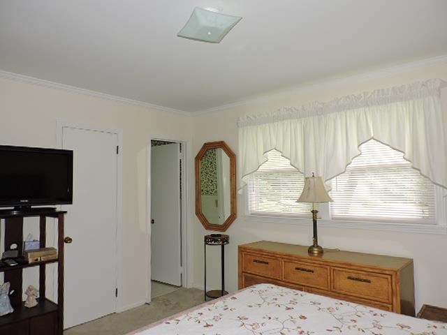 343 Kimbrough Road Clarksville, TN 37043 - Photo 15 of 30 Windows in Master for Added Light.