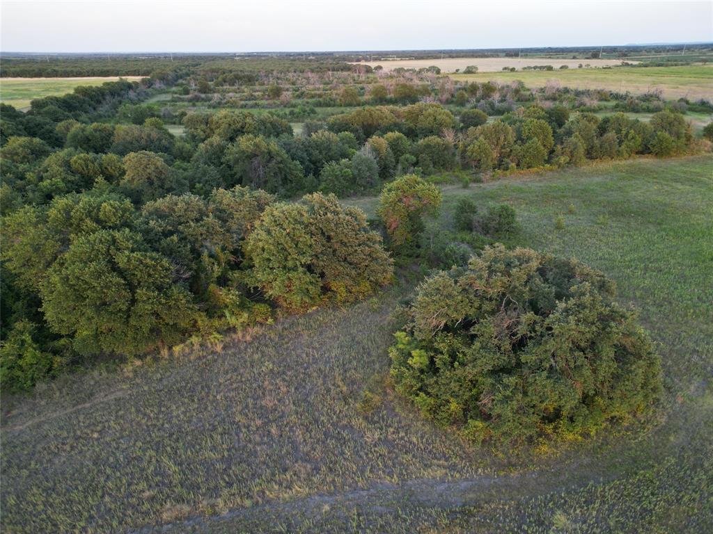 1448 County Road 129 Rising Star, TX 76471 - Photo 19 of 31 Gallery Image 19