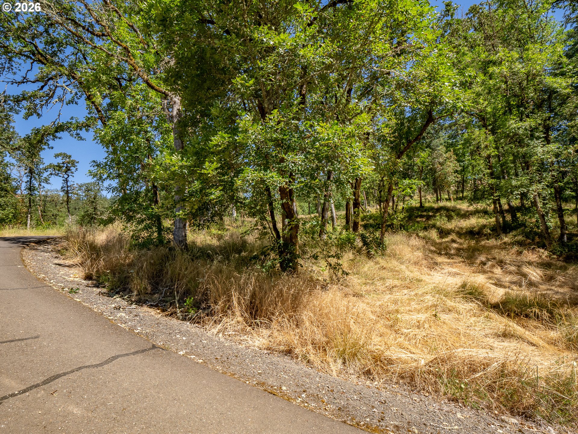 34175 Northeast Wilsonville Road Newberg, OR 97132 - Photo 39 of 46