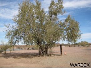 27155 Rayder Avenue Bouse, AZ 85325 - Photo 4 of 4 Additional Photo