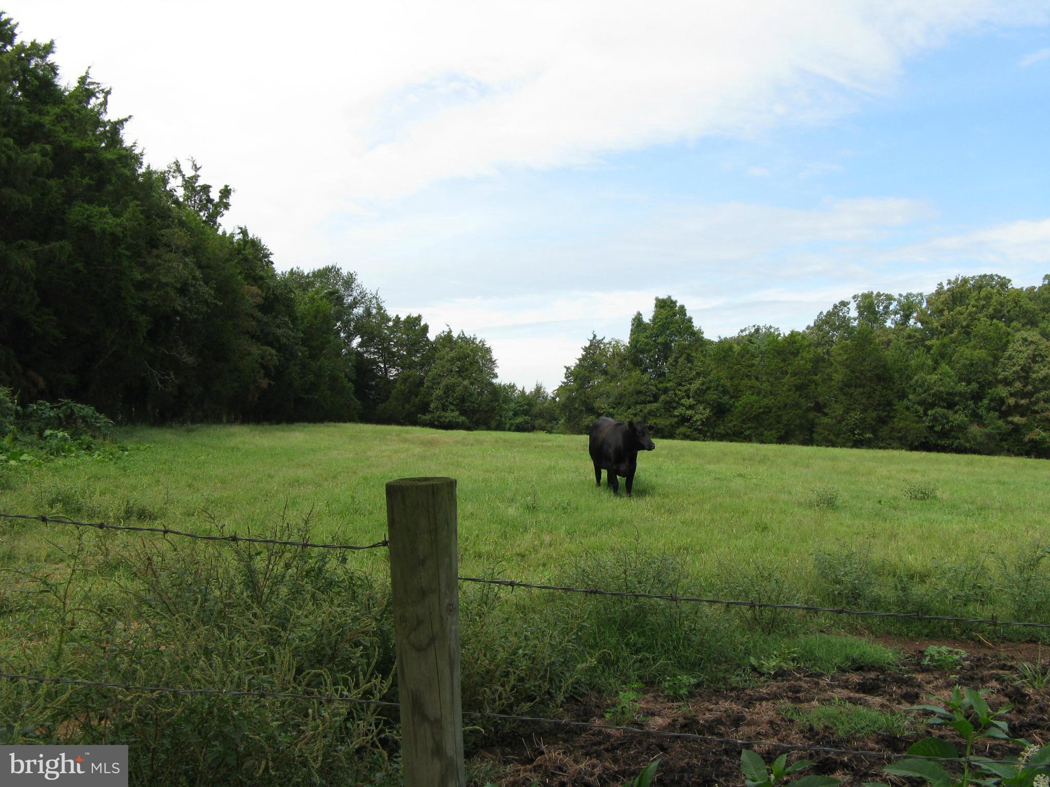 2033 Courthouse Road Catlett, VA 20119 - Photo 3 of 5 View