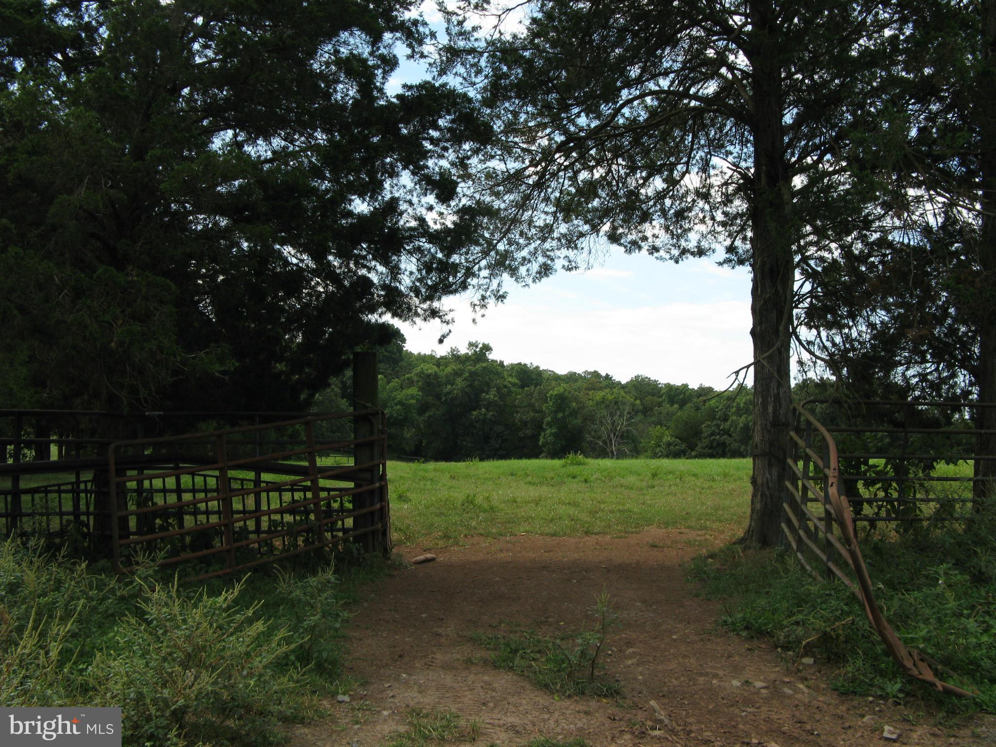 2033 Courthouse Road Catlett, VA 20119 - Photo 4 of 5 View