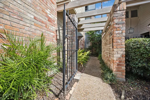 a backyard with plants