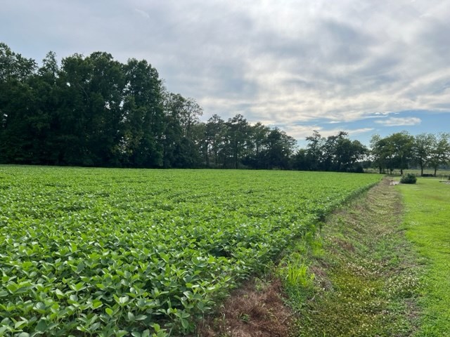 Lot 22 Bullbeggar Road, Unit 22 Oak Hall, VA 23416 - Photo 3 of 3