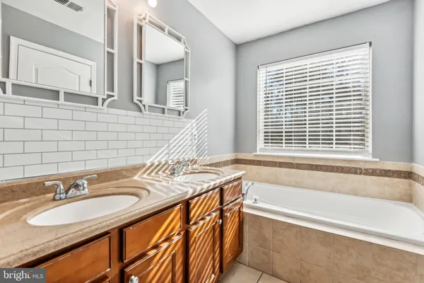 a bathroom with a sink and a bathtub