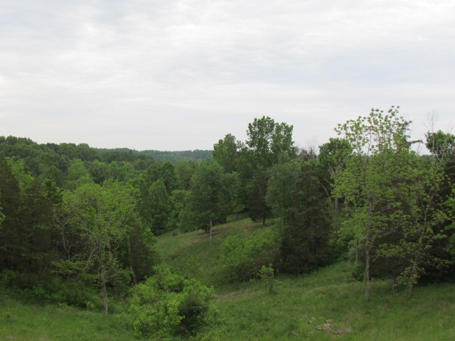 760 Shiloh Road Corinth, KY 41010 - Photo 17 of 27 Gallery Image 17