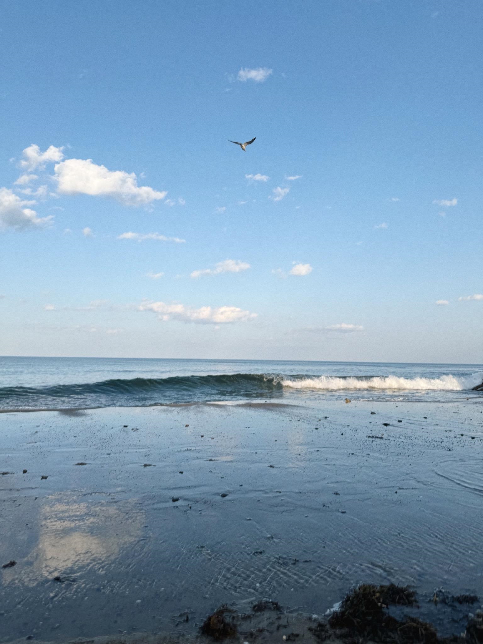 17 Johnson Avenue Hampton, NH 03842 - Photo 43 of 54