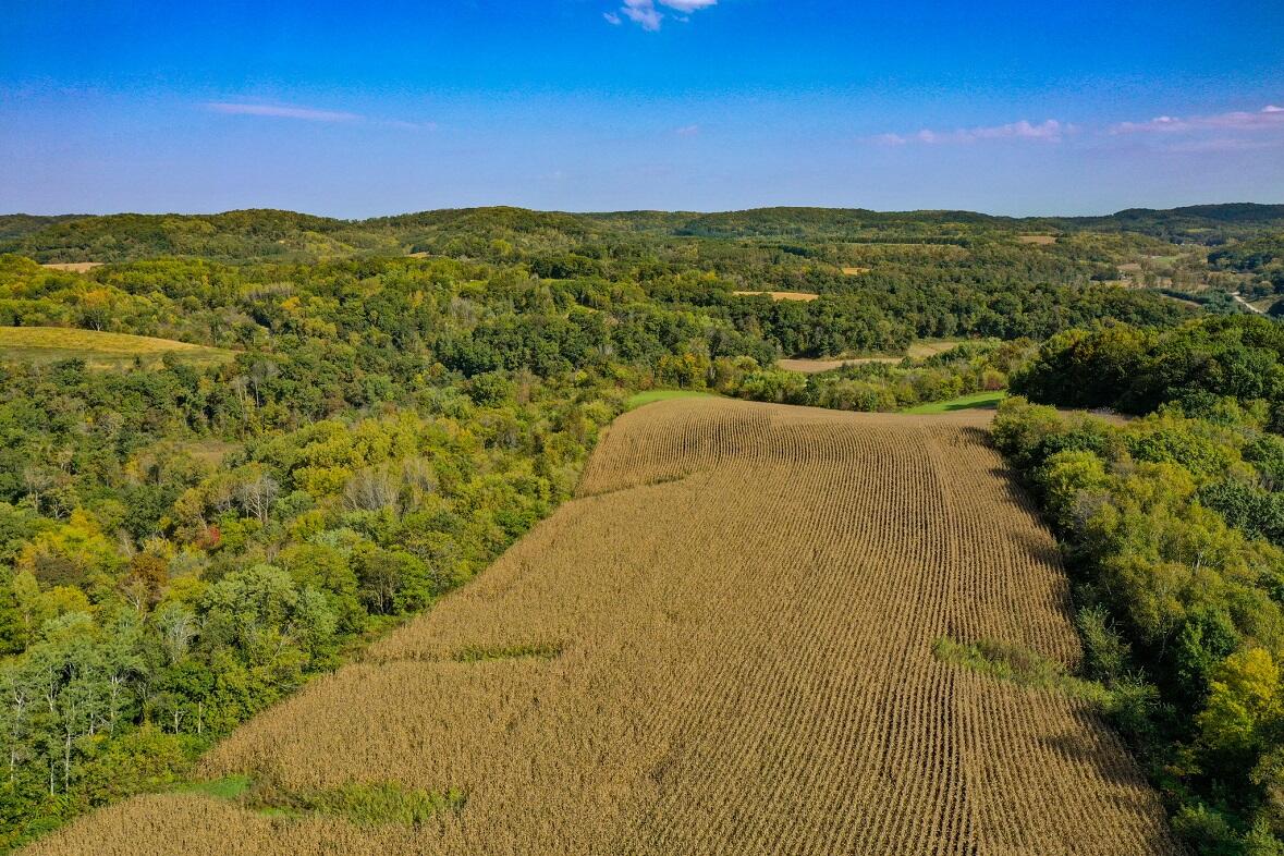 Lt0 Garves Coulee Road Burns, WI 54614 - Photo 11 of 50 DJI_0546
