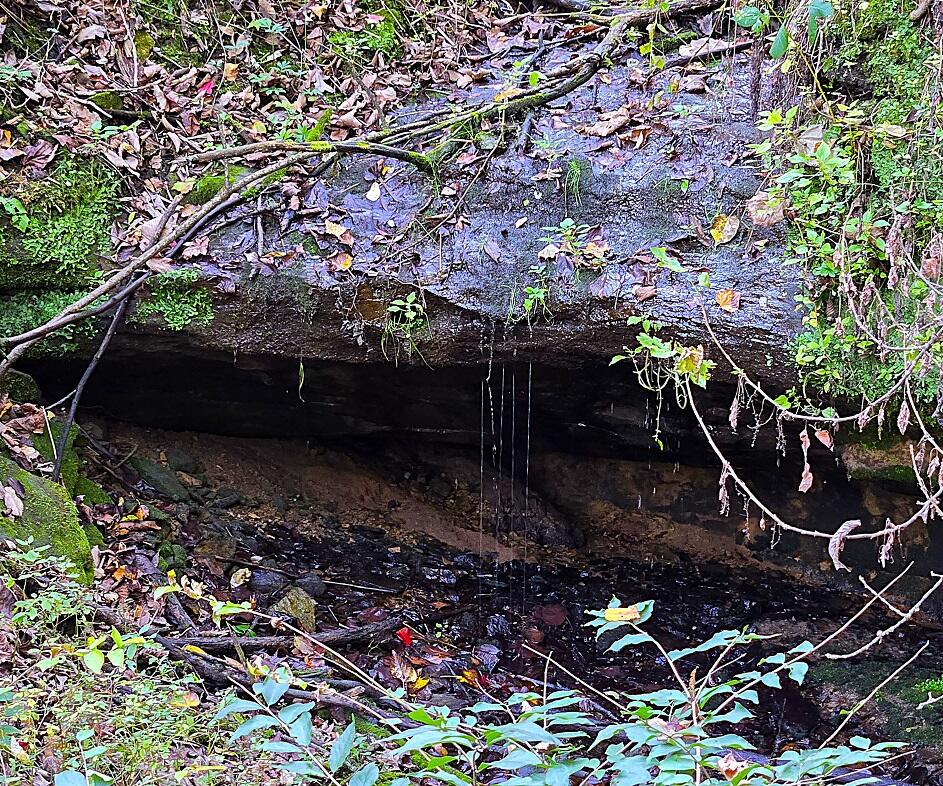 Lt0 Garves Coulee Road Burns, WI 54614 - Photo 14 of 50 D2