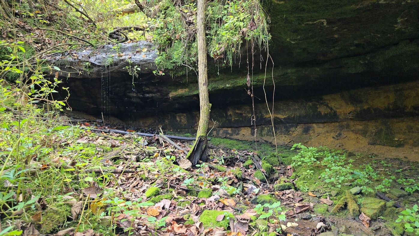 Lt0 Garves Coulee Road Burns, WI 54614 - Photo 15 of 50 d3