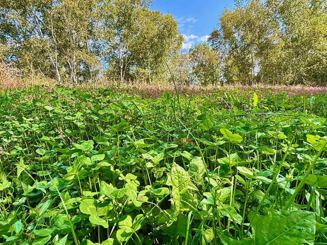 Lt0 Garves Coulee Road Burns, WI 54614 - Photo 21 of 50 d9
