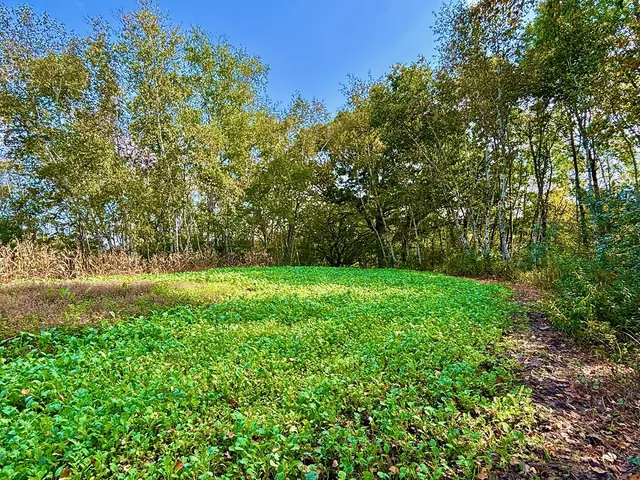 $771,000 | Lt0 Garves Coulee Road, Burns, WI 54614