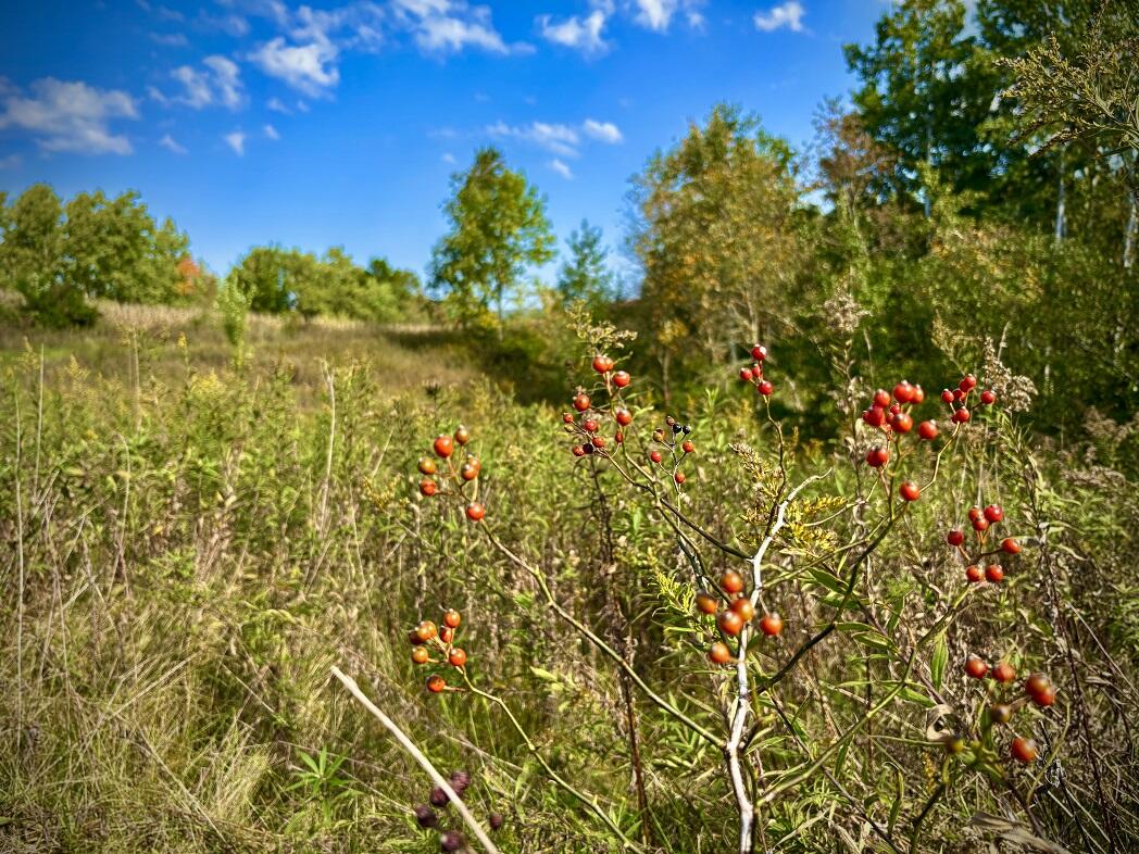 Lt0 Garves Coulee Road Burns, WI 54614 - Photo 31 of 50 image00001