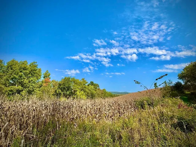 $771,000 | Lt0 Garves Coulee Road, Burns, WI 54614