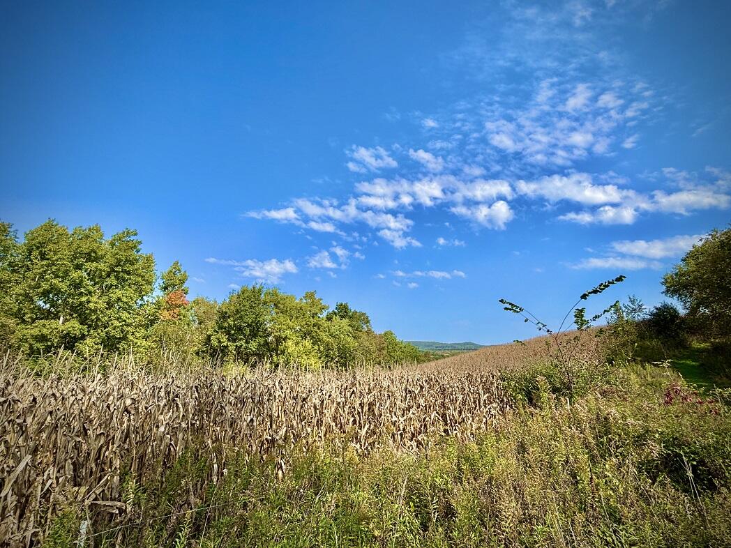 Lt0 Garves Coulee Road Burns, WI 54614 - Photo 32 of 50 image00002