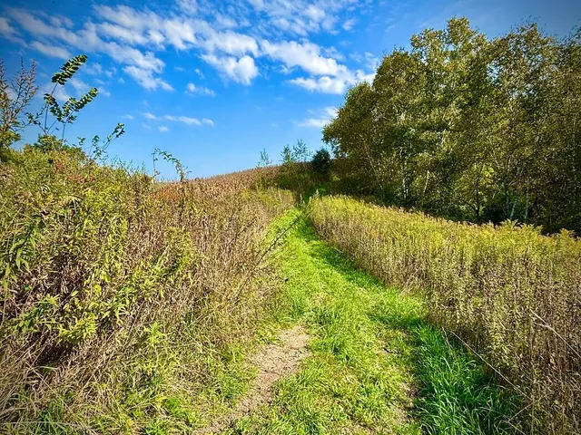 $771,000 | Lt0 Garves Coulee Road, Burns, WI 54614