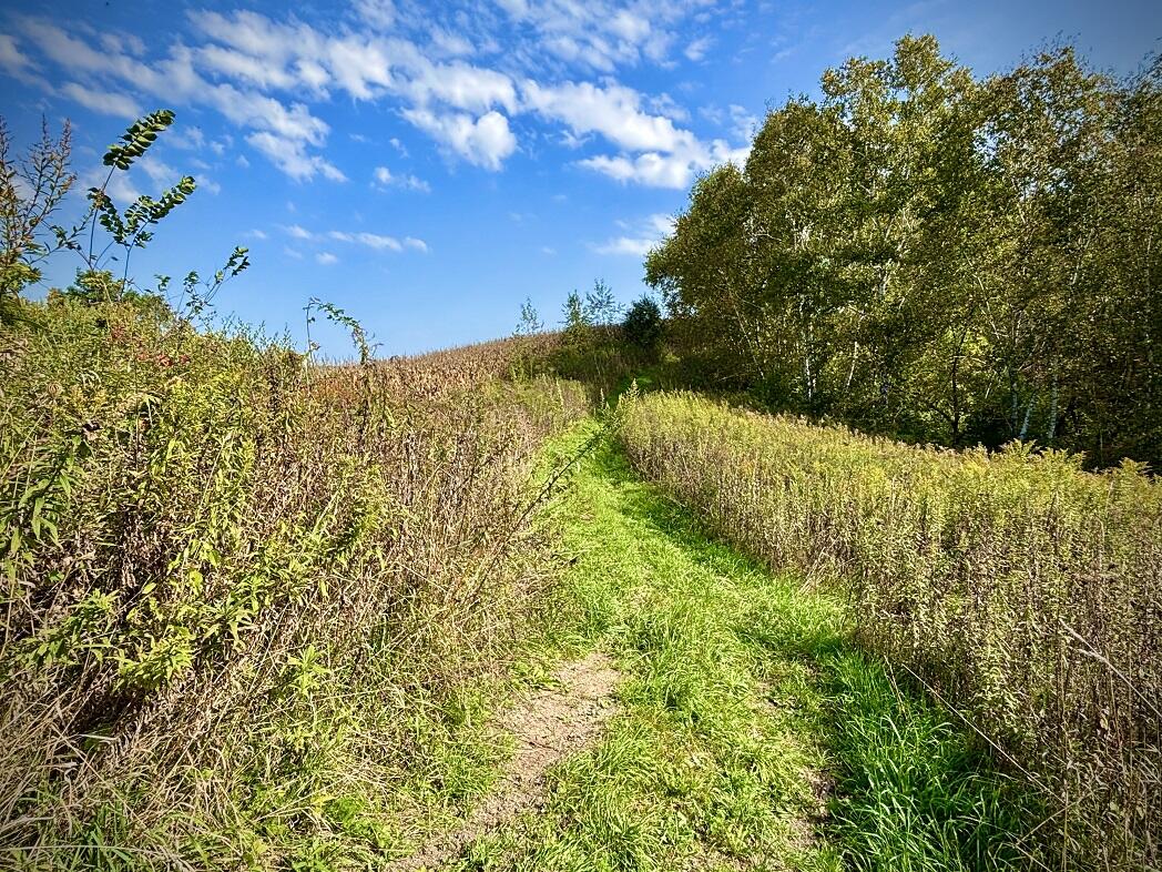 Lt0 Garves Coulee Road Burns, WI 54614 - Photo 33 of 50 image00003
