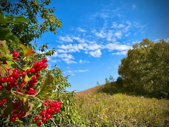 $771,000 | Lt0 Garves Coulee Road, Burns, WI 54614