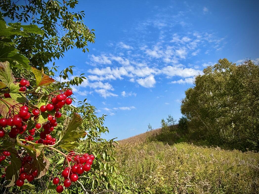 Lt0 Garves Coulee Road Burns, WI 54614 - Photo 35 of 50 image00005