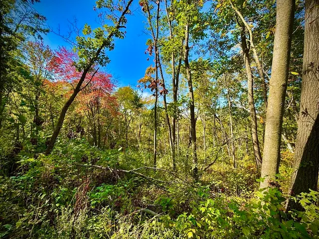 $771,000 | Lt0 Garves Coulee Road, Burns, WI 54614