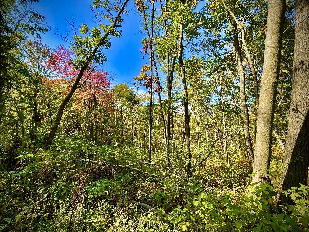 Lt0 Garves Coulee Road Burns, WI 54614 - Photo 38 of 50 image00008