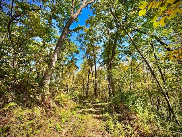 $771,000 | Lt0 Garves Coulee Road, Burns, WI 54614