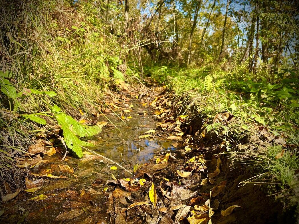 Lt0 Garves Coulee Road Burns, WI 54614 - Photo 42 of 50 image00012
