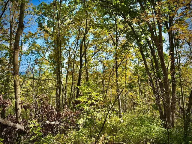 $771,000 | Lt0 Garves Coulee Road, Burns, WI 54614