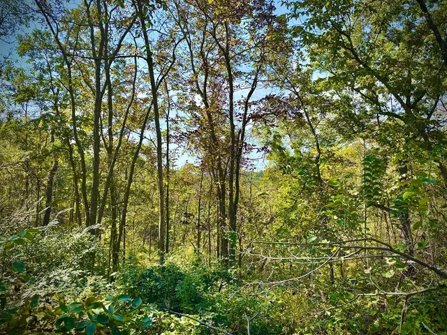 $771,000 | Lt0 Garves Coulee Road, Burns, WI 54614