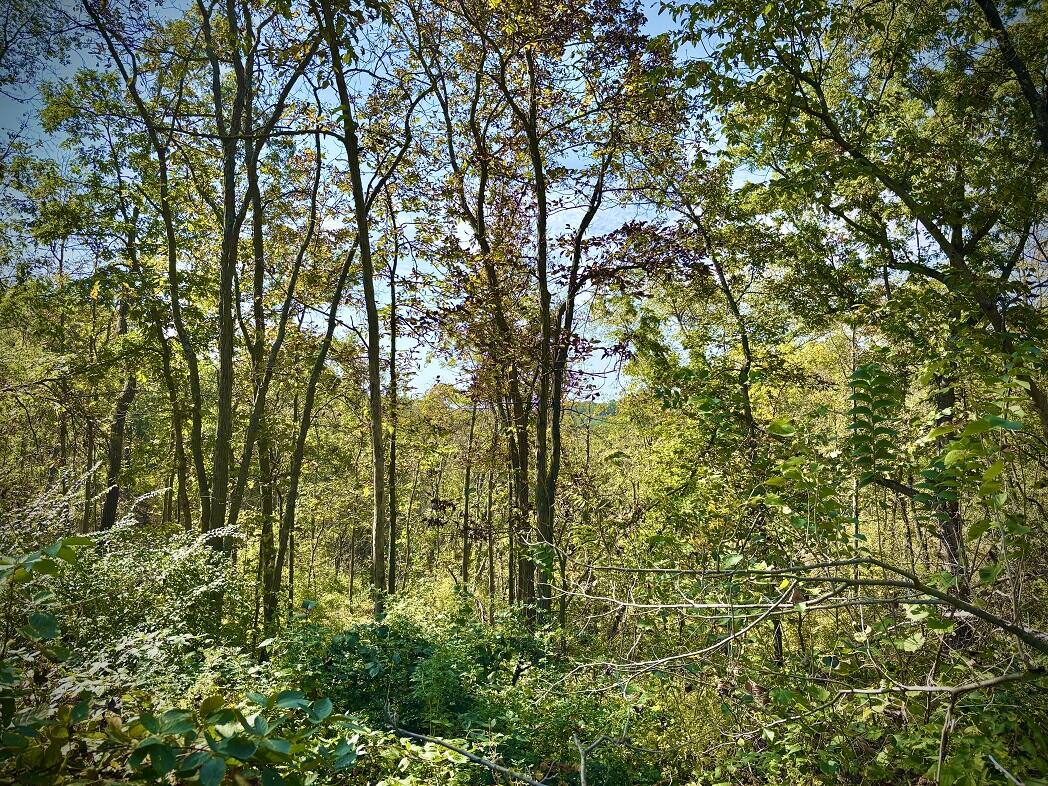 Lt0 Garves Coulee Road Burns, WI 54614 - Photo 45 of 50 image00015