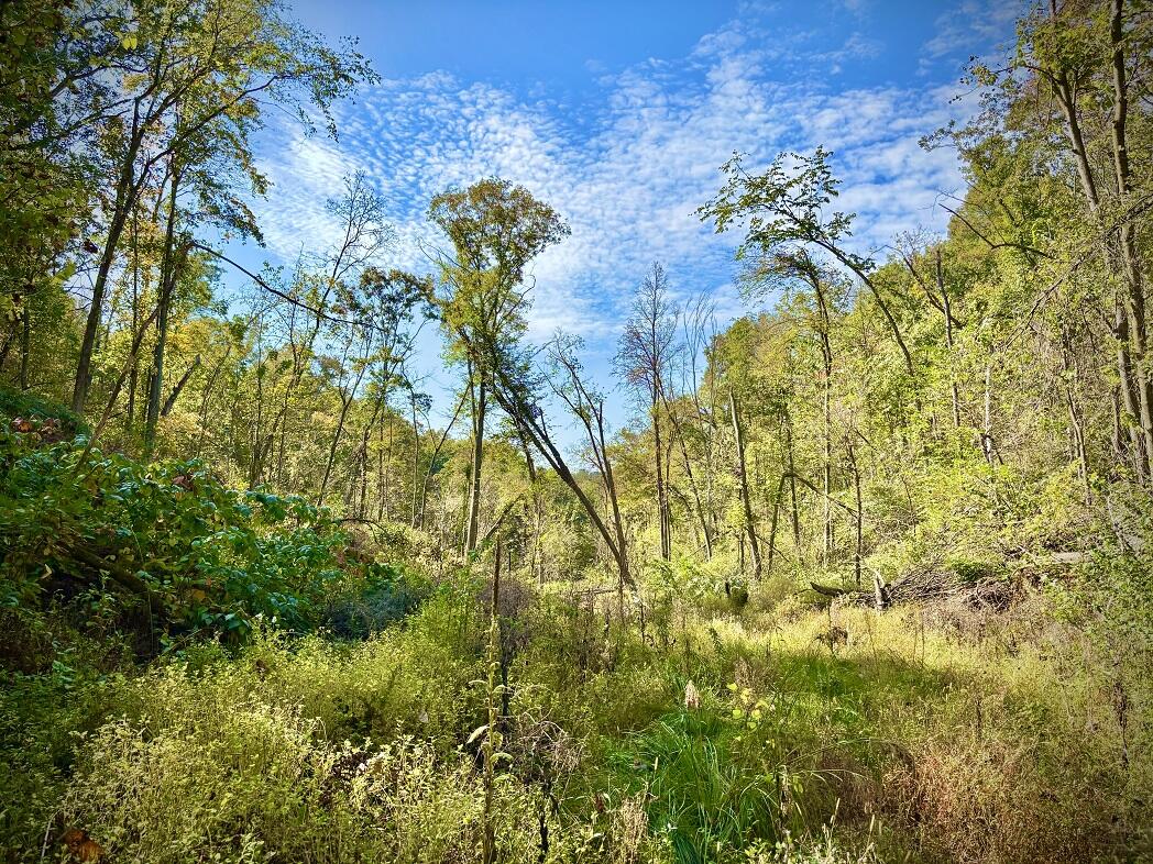 Lt0 Garves Coulee Road Burns, WI 54614 - Photo 46 of 50 image00016