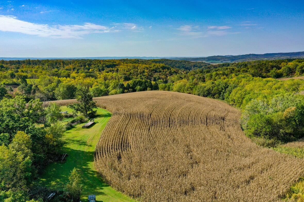 Lt0 Garves Coulee Road Burns, WI 54614 - Photo 7 of 50 DJI_0542