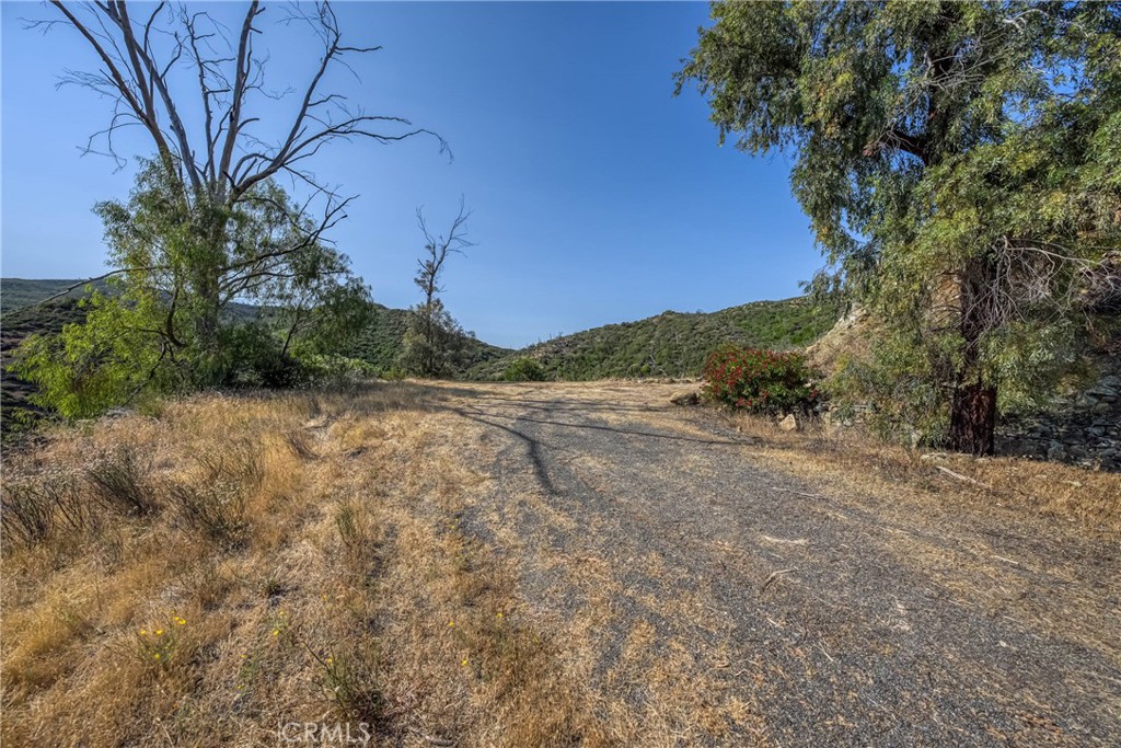 1 Butts Canyon Road Pope Valley, CA 94567 - Photo 24 of 60 a view of a yard with plants and trees