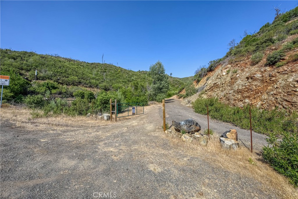 1 Butts Canyon Road Pope Valley, CA 94567 - Photo 3 of 60 a view of a yard with a tree