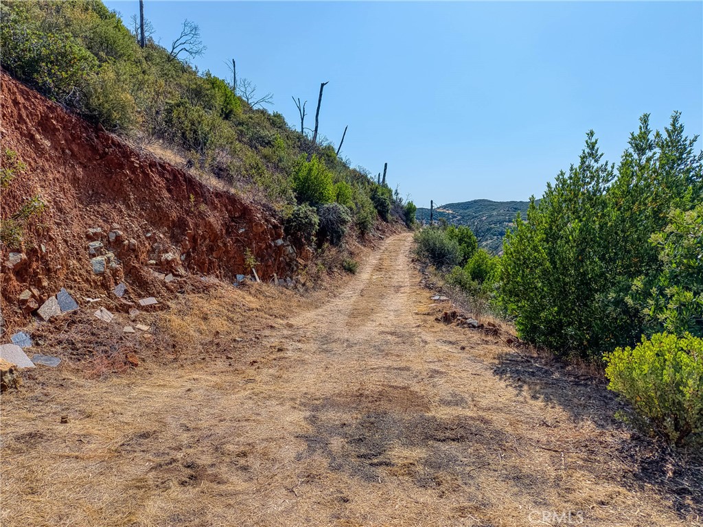 1 Butts Canyon Road Pope Valley, CA 94567 - Photo 36 of 60 a view of a dirt road with trees in the background