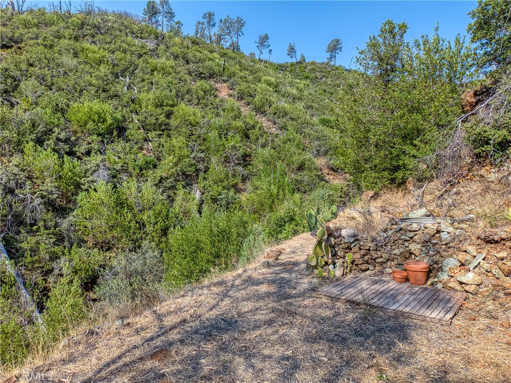 1 Butts Canyon Road Pope Valley, CA 94567 - Photo 39 of 60 a view of a large yard with lots of bushes