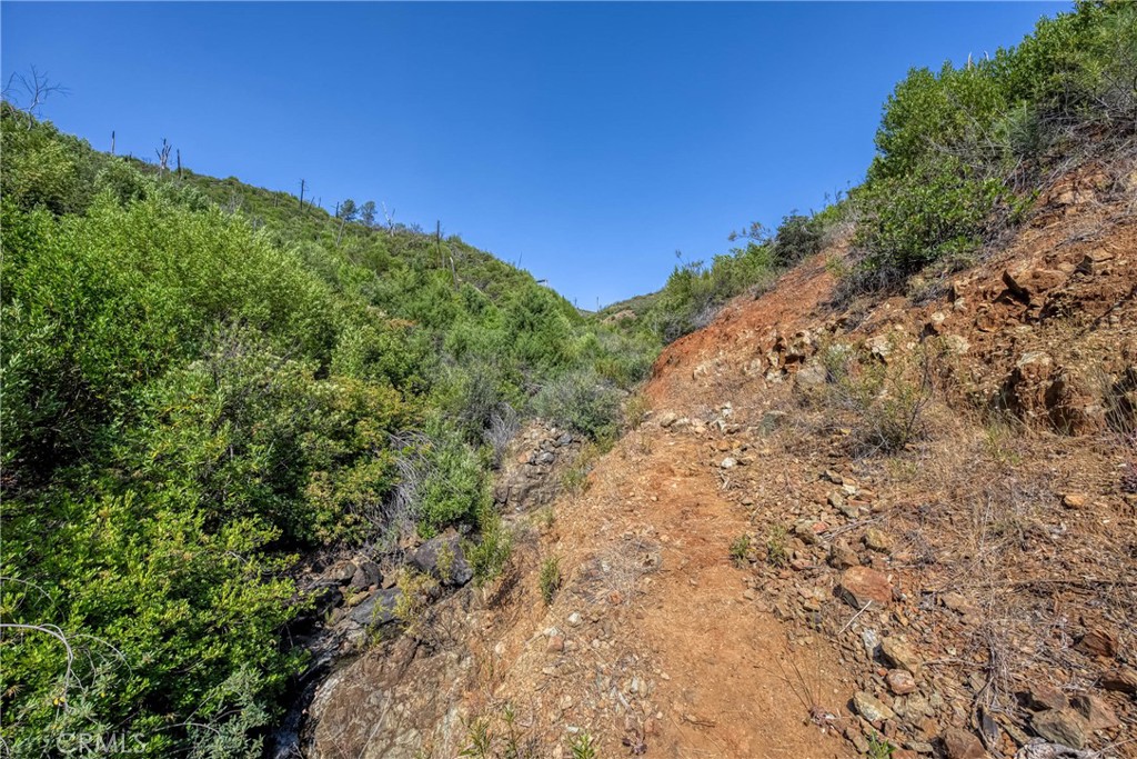 1 Butts Canyon Road Pope Valley, CA 94567 - Photo 40 of 60 a view of a large trees with plants in front of it