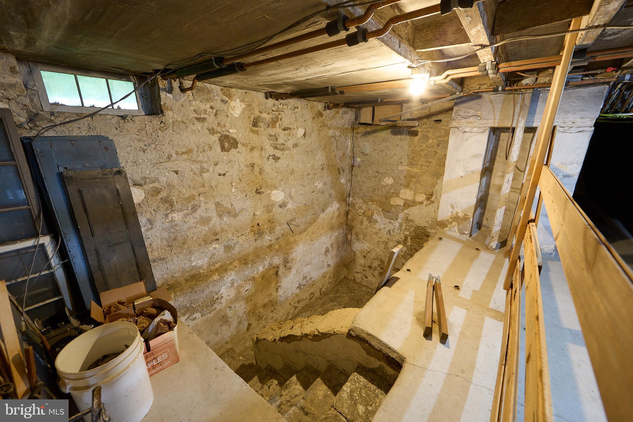 702 Lenape Road West Chester, PA 19382 - Photo 41 of 61 Root cellar