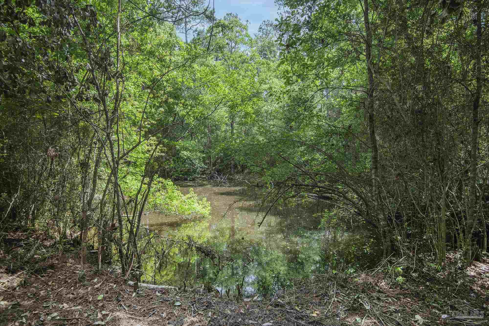 1210 Goldenrod Road Cantonment, FL 32533 - Photo 44 of 50 a view of a lush green forest